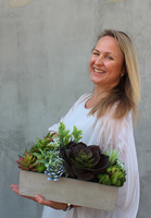 Moderna 2, kompozycja sukulentów w cementowej donicy, wys.25cm