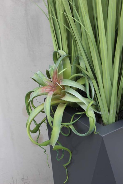 kompozycja Nevis Design, Trawy & Sukulenty w szarej donicy, wys.160cm