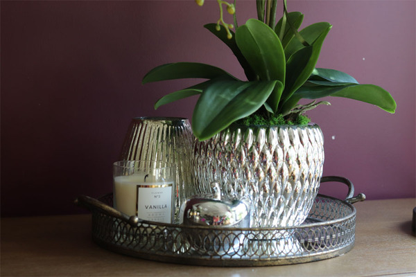 Diamondo, biały storczyk w srebrnej donicy, wys.63cm