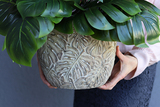 drzewko sztuczne Monstera w bogato zdobionej osłonce, wys.80cm
