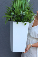 Anna Design White, kompozycja z traw w białej donicy, wys.126cm