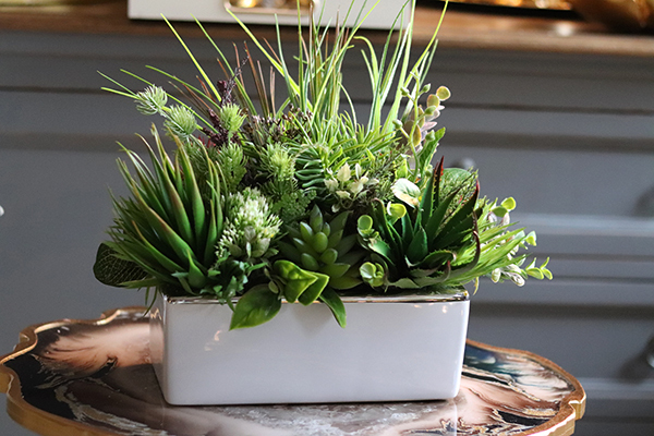 kompozycja z sukulentów w białej donicy, Melania, wys.38cm