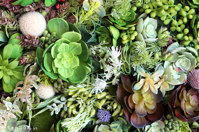 efektowna kwietna rama jednostronna, Sukulenty Revollito, wym.40x34.5cm