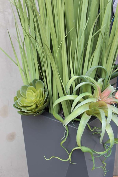 kompozycja Nevis Design, Trawy & Sukulenty w szarej donicy, wys.160cm