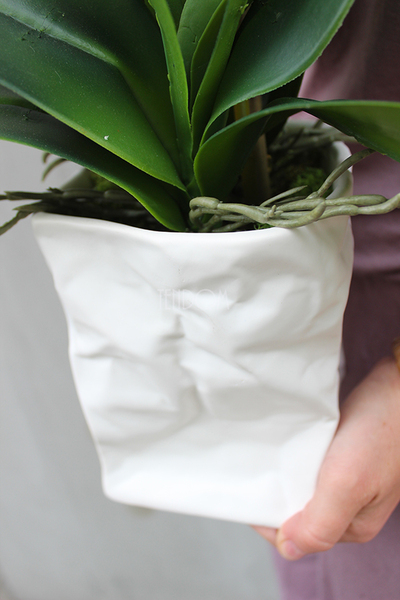 biały, gumowy storczyk Design Modern White 1 w nowoczesnej donicy wys.67cm