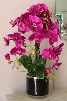 Fuksjowa Delicja, sztuczny storczyk w czarnej donicy, wys.60cm