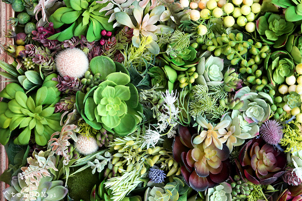 efektowna kwietna rama jednostronna, Sukulenty Revollito, wym.40x34.5cm