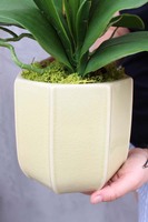 Primadonna, zjawiskowy storczyk w ceramicznej donicy, wys.56cm