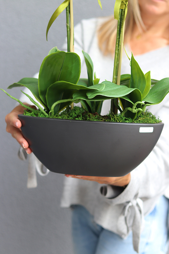 Antracytta, ekskluzywny storczyk w matowej donicy, wys. 61cm