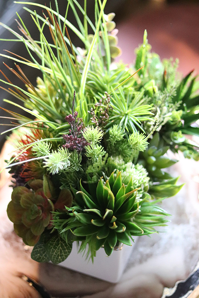 kompozycja z sukulentów w białej donicy, Melania, wys.38cm