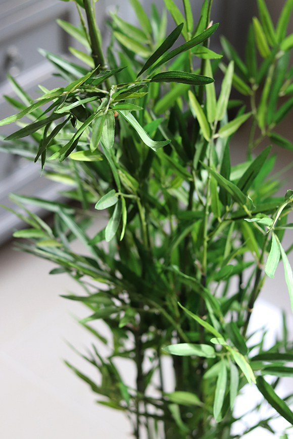 sztuczny bambus w coolerze, Hongkong, wys.120cm