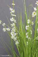 Alija Perra Negra, sztuczna trawa w czarnej donicy, wys.180cm