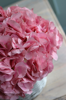 kosz różowych hortensji, Ferana, wys.35cm