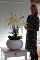 bardzo duży biały storczyk, Grande Belezza Fiberglass, wys.100cm 