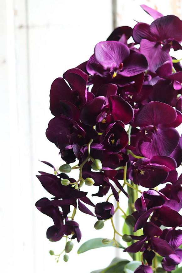 ekskluzywny storczyk w pękatym pucharze, Violetona Villa, wys.90cm 