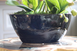 Julina Black, storczyk w czarnej donicy, wys.51cm
