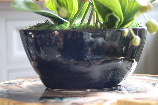 Julina Black, storczyk w czarnej donicy, wys.51cm