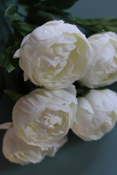 Bella Italia, bukiet kremowych peoni, 7szt. dł.42cm