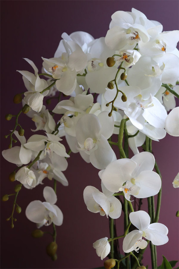 Grigio Moderno, sztuczny storczyk w ceramicznej donicy ze złoceniami, wys.79cm