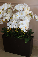 Marco Grande Mediolan Chocolate, duży sztuczny storczyk, wys.98cm