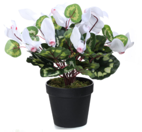 Cyklamen sztuczny w doniczce, biały, wys.35cm