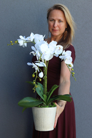 Kemina, stylowy storczyk w perłowo - złotej donicy, wys.60cm