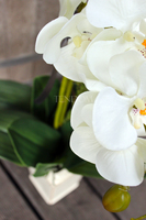 sztuczny storczyk Kassena w kolorze naturalnej bieli, wys.70cm