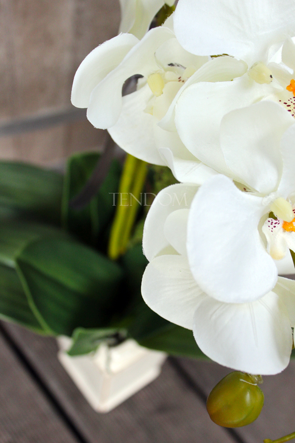 sztuczny storczyk Kassena w kolorze naturalnej bieli, wys.70cm