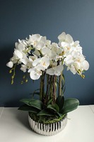 Optima, storczyk w srebrnej ceramicznej donicy glamour, wys.56cm