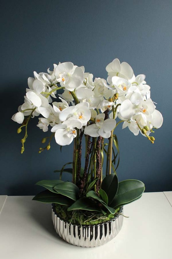 Optima, storczyk w srebrnej ceramicznej donicy glamour, wys.56cm