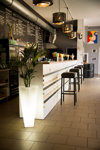 Rossa donica podświetlana światło zimne 38x75cm