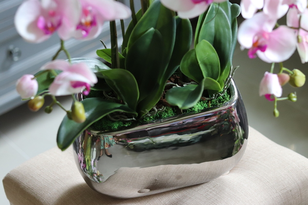 Glamour Silver, wyjątkowy storczyk w lustrzanej donicy, wys.77cm