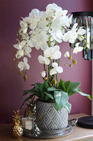 Grigio Moderno, sztuczny storczyk w ceramicznej donicy ze złoceniami, wys.79cm