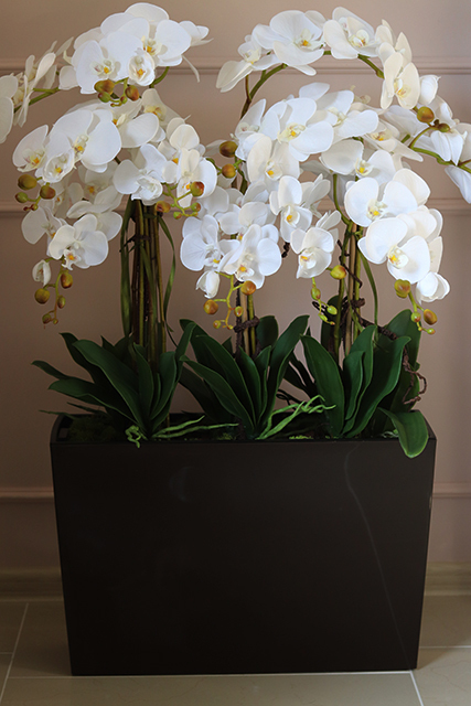 Marco Grande Mediolan Chocolate, duży sztuczny storczyk, wys.98cm