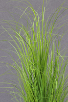 Merino Krem, sztuczna trawa w plastikowej dłutowanej donicy, wys.150cm