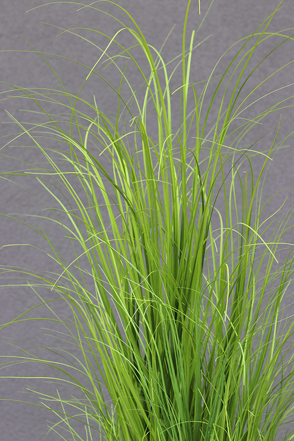 Merino Krem, sztuczna trawa w plastikowej dłutowanej donicy, wys.150cm