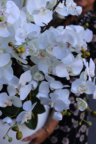 bardzo duży biały storczyk, Grande Belezza Fiberglass, wys.100cm 