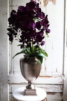 ekskluzywny storczyk w pękatym pucharze, Violetona Villa, wys.90cm 