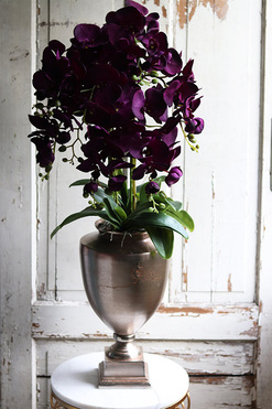 ekskluzywny storczyk w pękatym pucharze, Violetona Villa, wys.90cm 