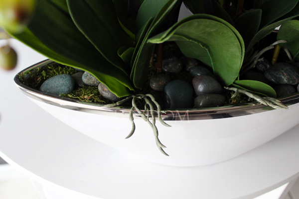 storczyk Laos Big Exclusive w białej donicy ze srebrnym rantem, wys.65cm