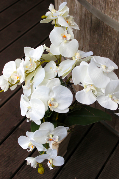 sztuczny storczyk Kassena w kolorze naturalnej bieli, wys.70cm