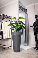 Pons donica ciemny marmurek z wewnętrzną półką 52x90cm