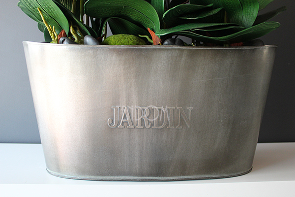 storczyk Jardin Grande w metalowej donicy, wys.97cm