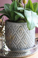 Grigio Moderno, sztuczny storczyk w ceramicznej donicy ze złoceniami, wys.79cm