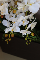 Marco Grande Mediolan Chocolate, duży sztuczny storczyk, wys.98cm