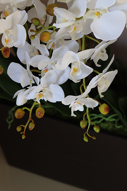 Marco Grande Mediolan Chocolate, duży sztuczny storczyk, wys.98cm