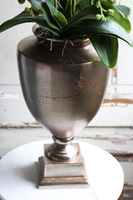 ekskluzywny storczyk w pękatym pucharze, Violetona Villa, wys.90cm 