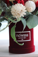 flowerbox welurowy z suszem, Marttimo Bordo Velvet, wys.66cm  