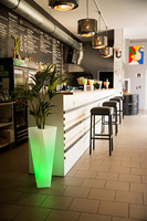 Rossa donica podświetlana 16kolorów + pilot 38x75cm