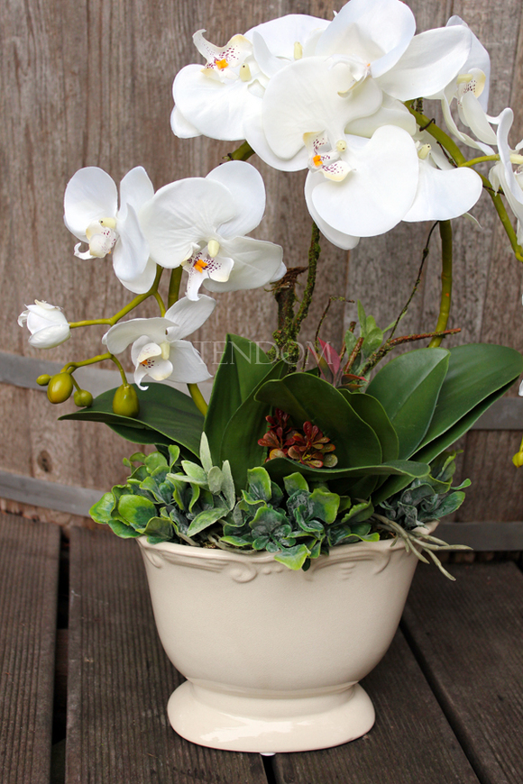 sztuczny storczyk Bellona w kolorze naturalnej bieli, wys.55cm